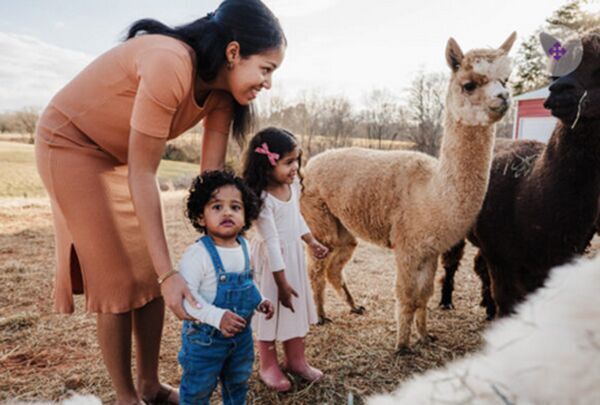 FIBER-looking at alpacas.tif